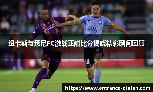 球探体育